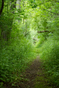 mindfulness&goalsetting mindfulness&goalsetting