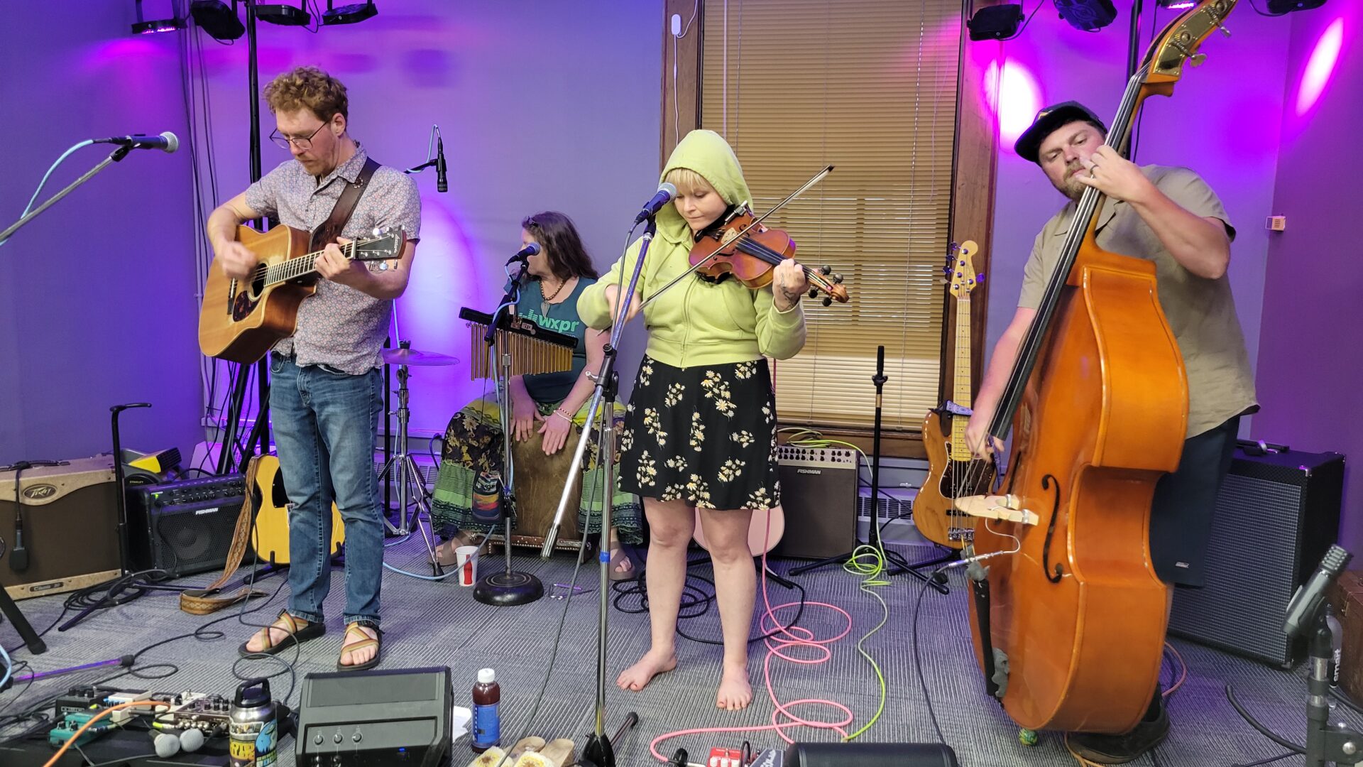 Dandelion Delivery Service