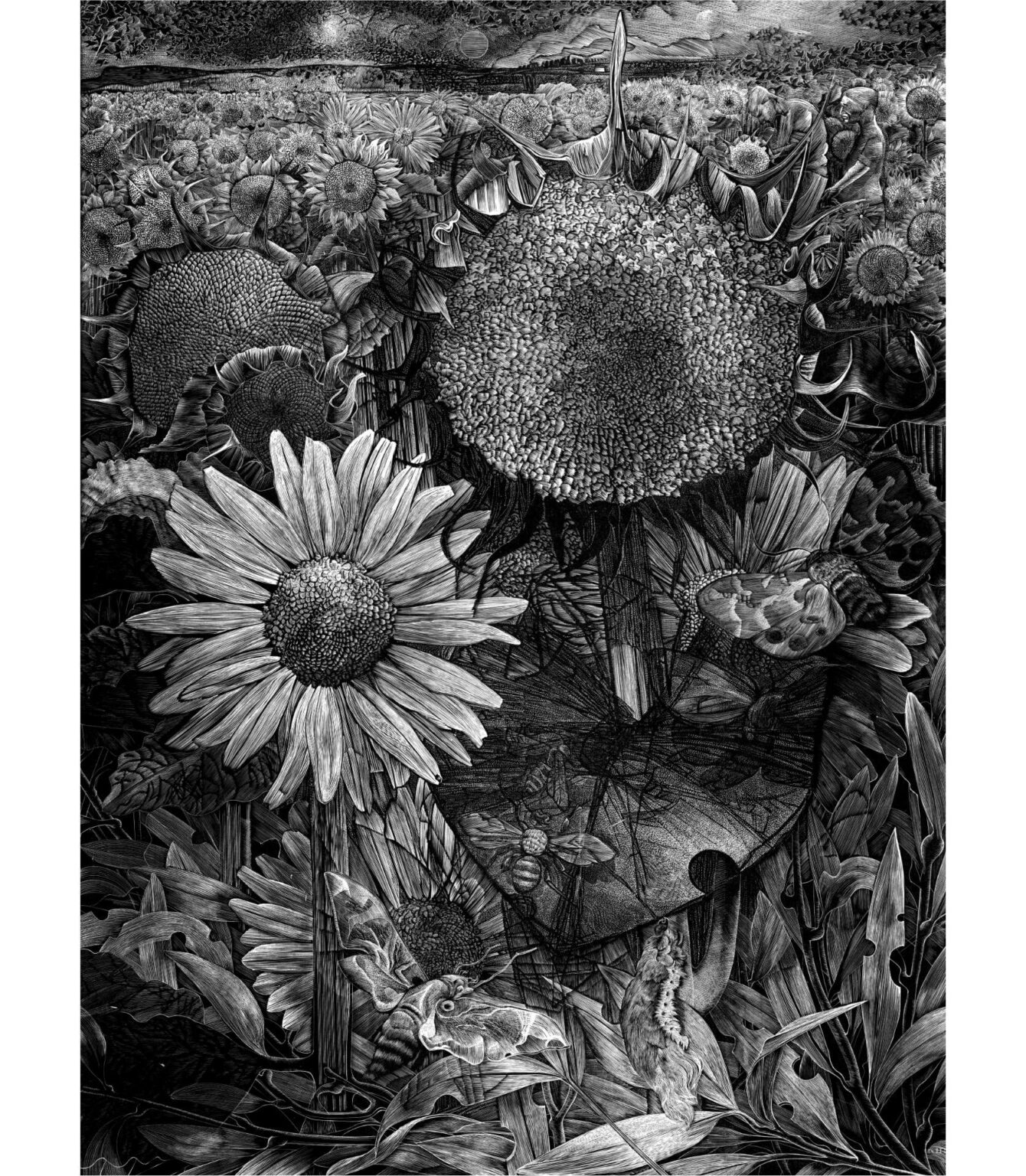 Untitled design (24)